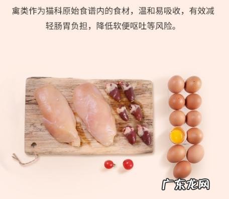 帝熙猫粮怎么样 宠熙猫粮好不好吃