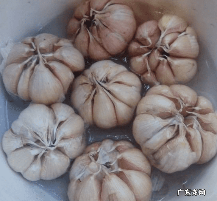 卧室最有效的驱蚊方法 有效的驱蚊方法