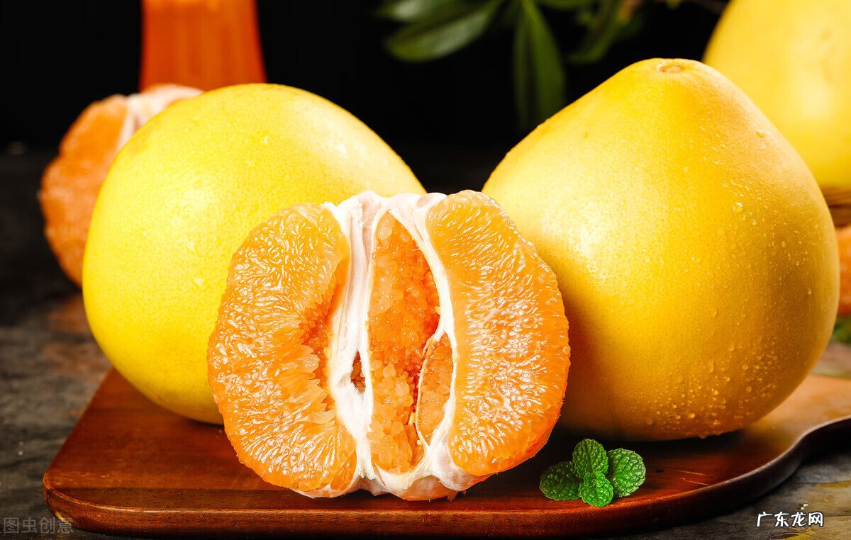 卧室最有效的驱蚊方法 有效的驱蚊方法