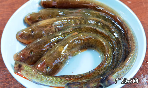 鲶鱼炖豆腐的做法大全窍门 鲶鱼炖豆腐怎么做