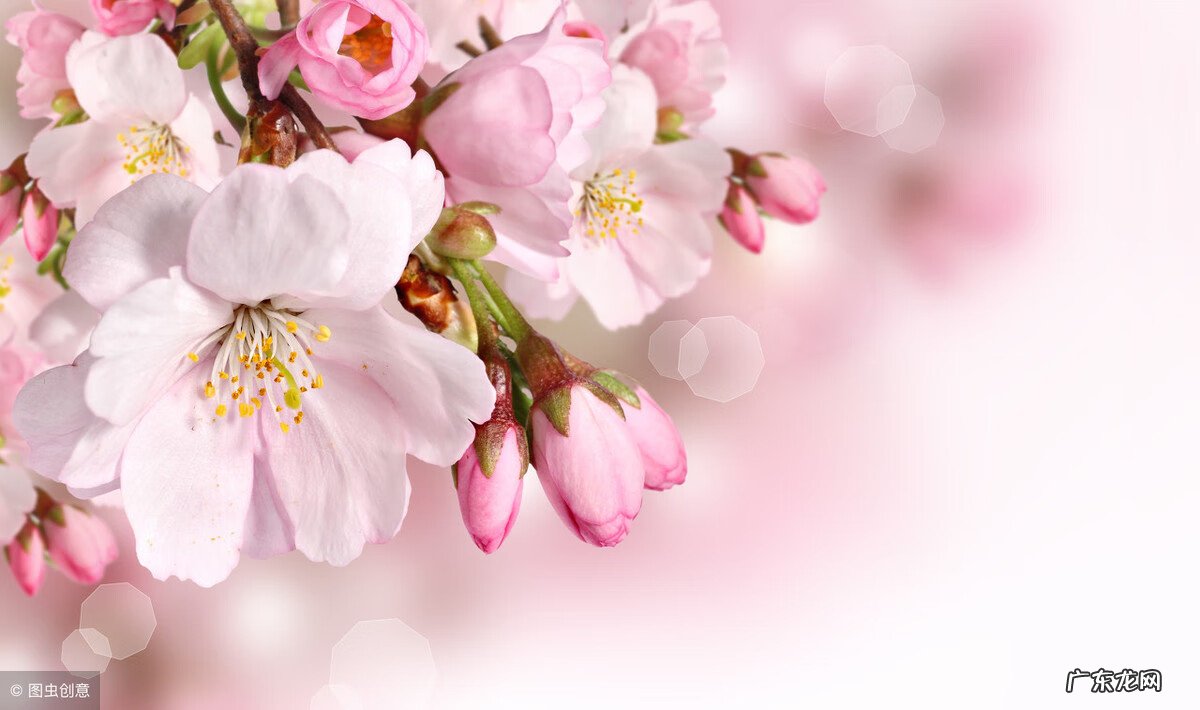 如何看风水纳水 风水中纳水以哪个标准最准确