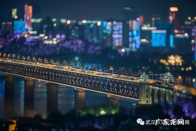 武汉教育网官网 武汉旅游培训网站