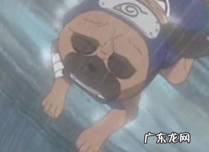 狗死后的七天主人要注意什么 狗死后的七天主人要注意什么事项