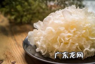 袋栽银耳种植技术 袋料银耳栽培技术视频