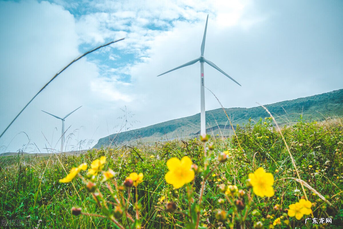 8月去哪里旅行比较好 8月去哪里旅游最好玩