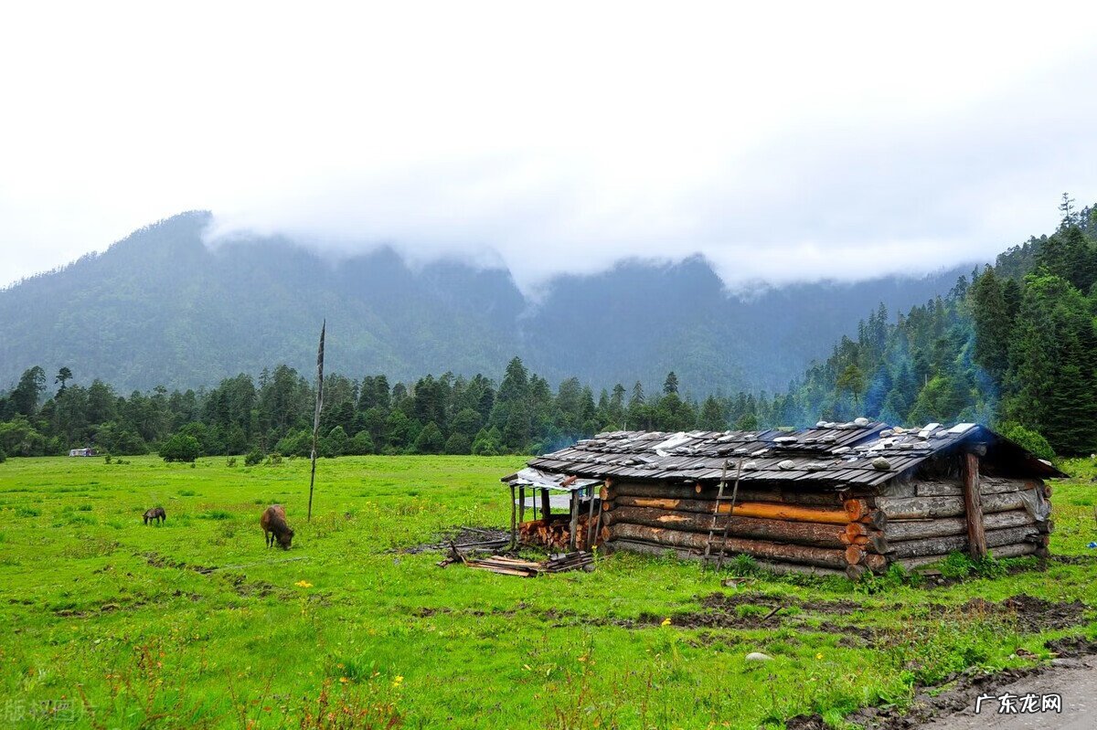 8月去哪里旅行比较好 8月去哪里旅游最好玩