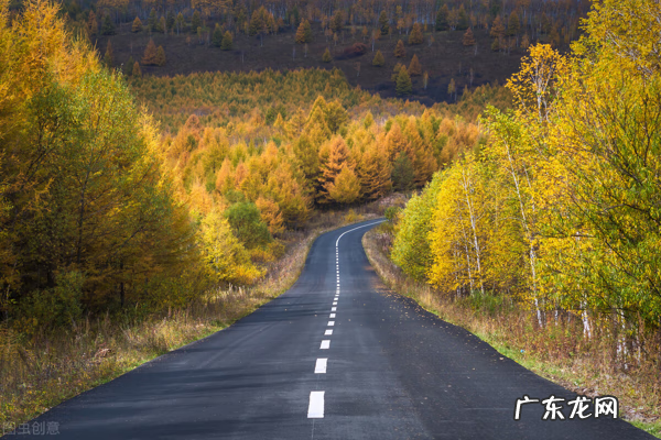 8月去哪里旅行比较好 8月去哪里旅游最好玩