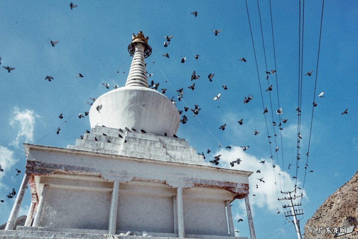 8月去哪里旅行比较好 8月去哪里旅游最好玩