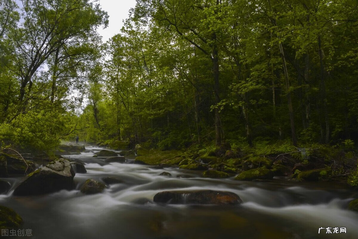 8月去哪里旅行比较好 8月去哪里旅游最好玩