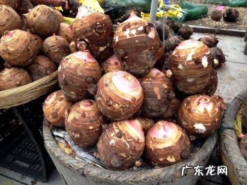 浙江风水宝地 浙江蒋氏家族风水宝地