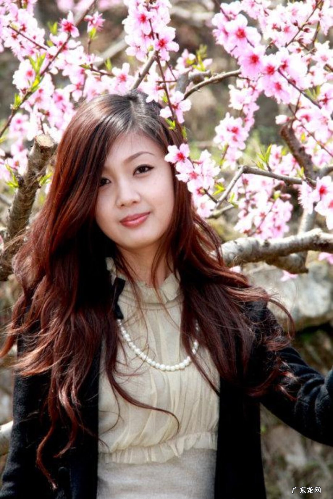 浙江风水宝地 浙江蒋氏家族风水宝地