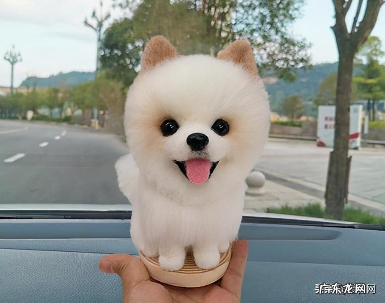 猪网名大全可爱女生 猪猪名字大全可爱