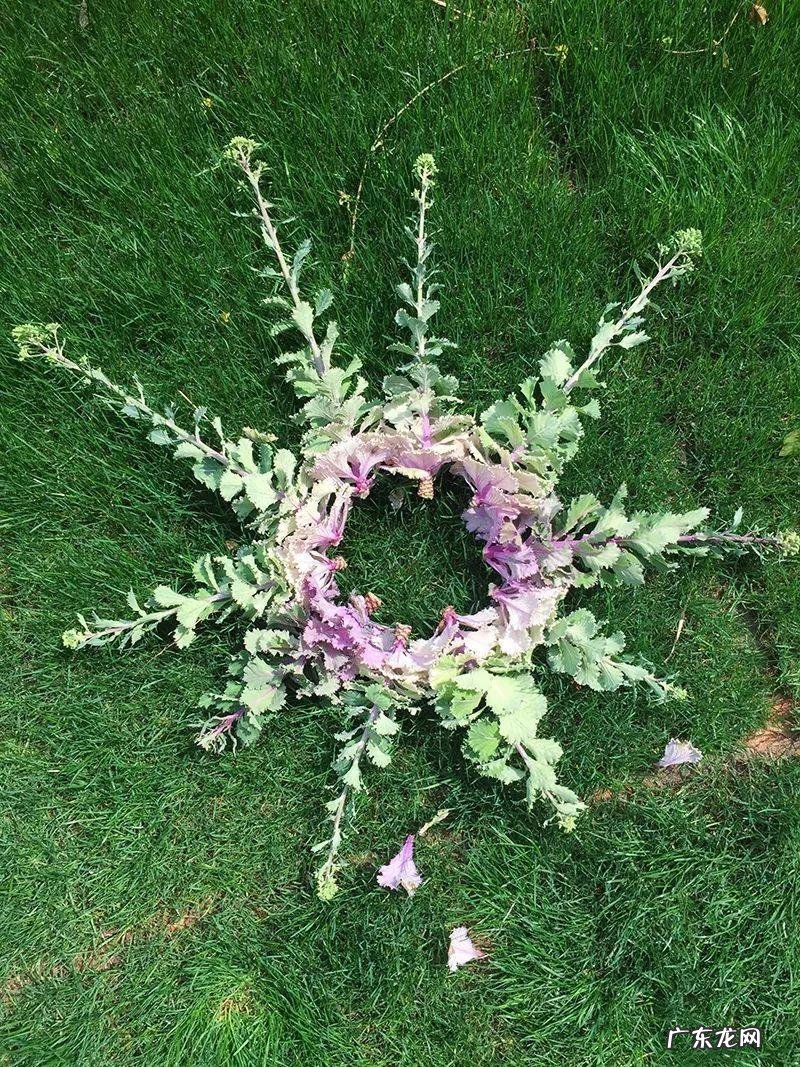 《配色设计原理》读后感 配色设计原理心得体会