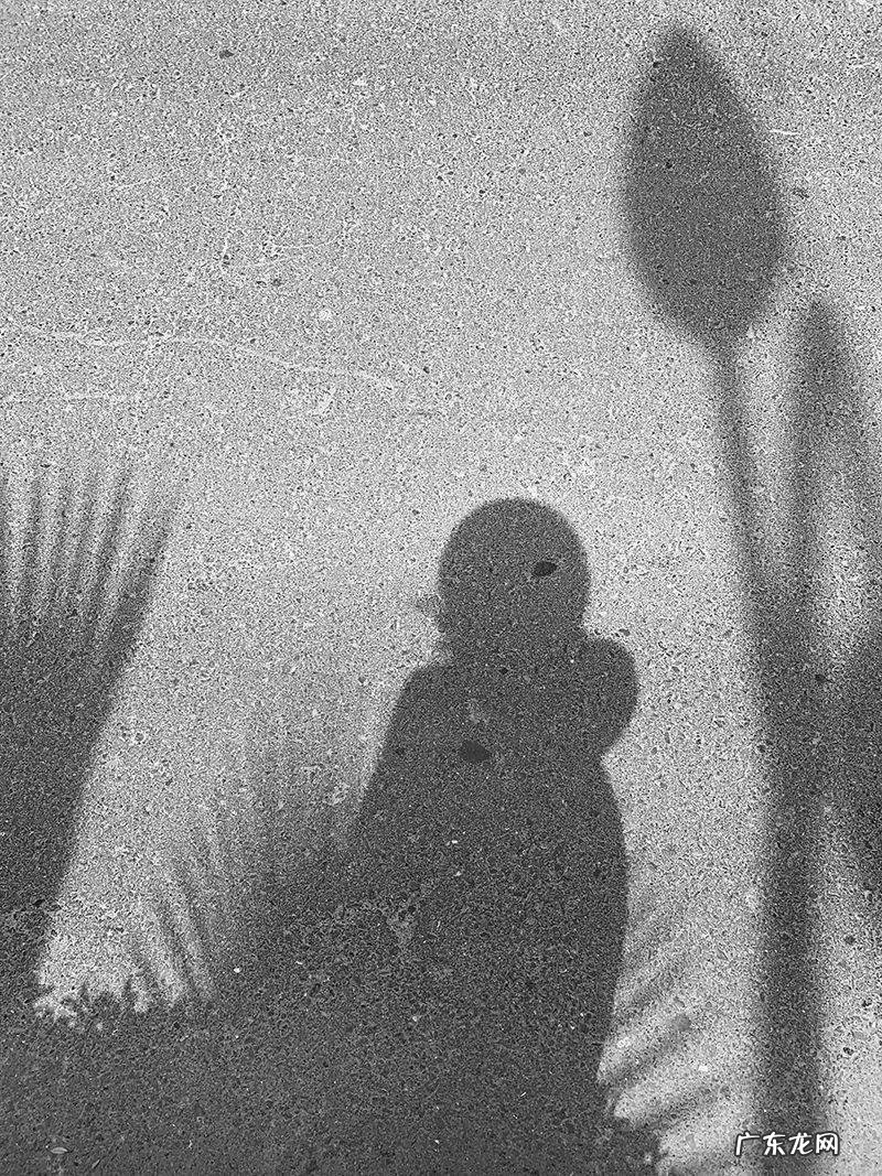 《配色设计原理》读后感 配色设计原理心得体会