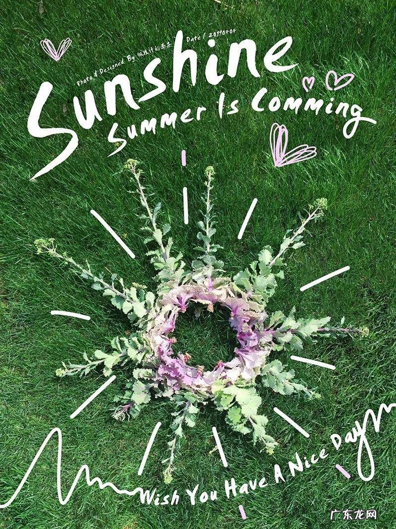 《配色设计原理》读后感 配色设计原理心得体会