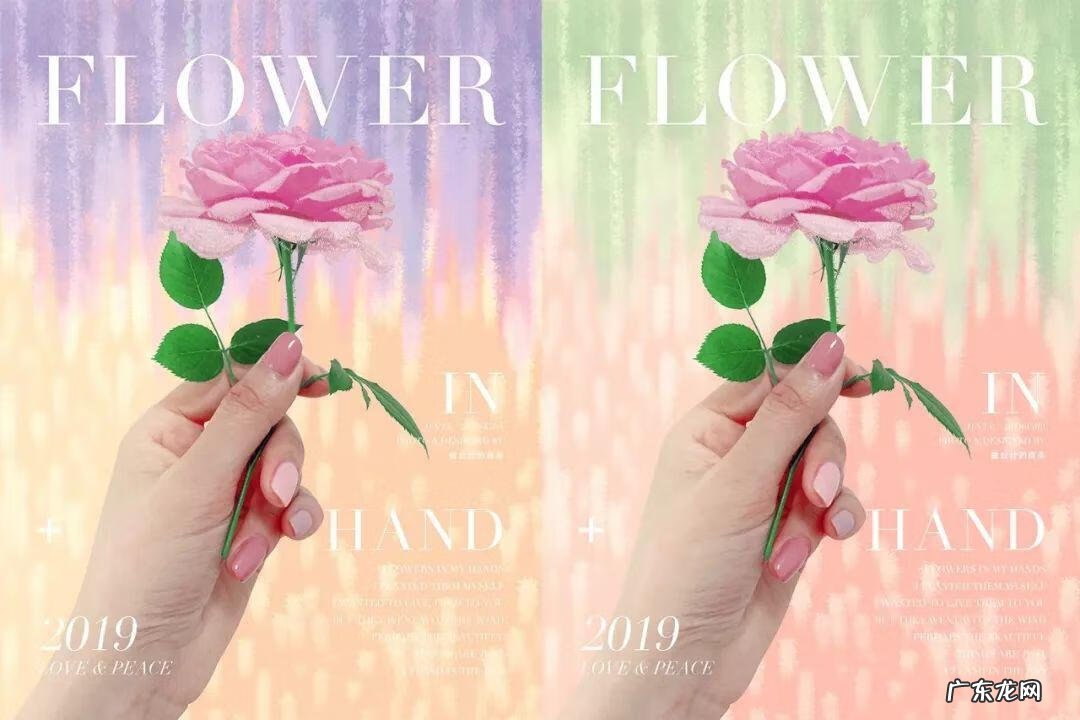 《配色设计原理》读后感 配色设计原理心得体会