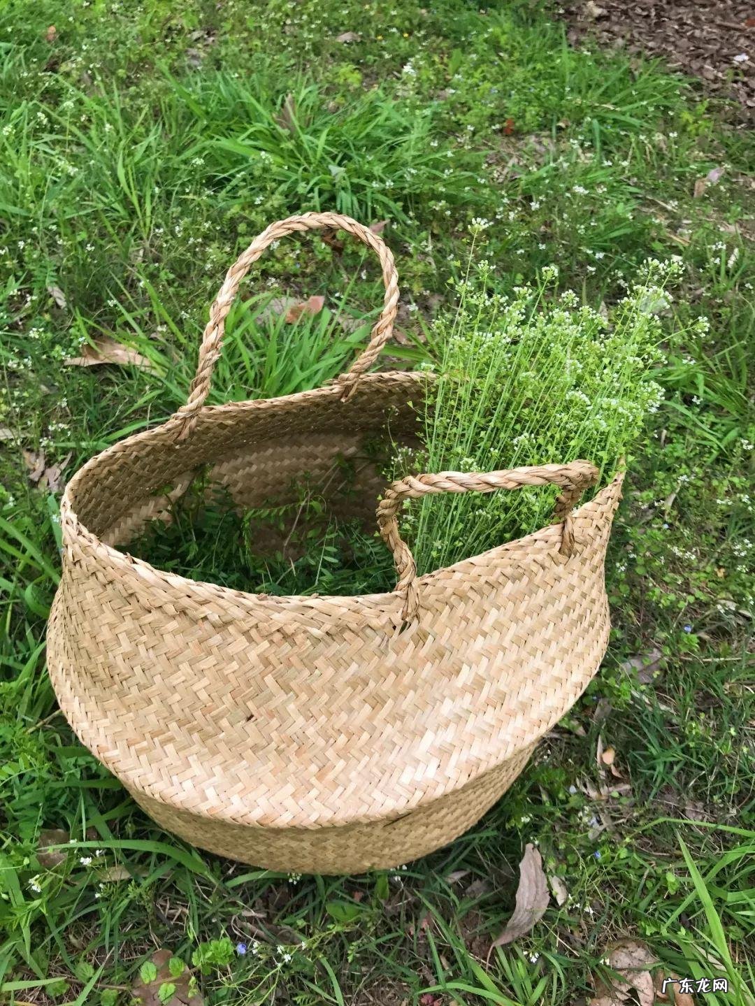 《配色设计原理》读后感 配色设计原理心得体会