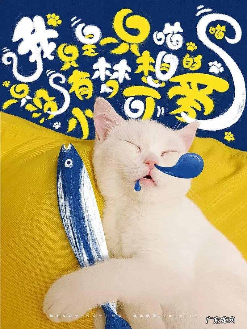 《配色设计原理》读后感 配色设计原理心得体会