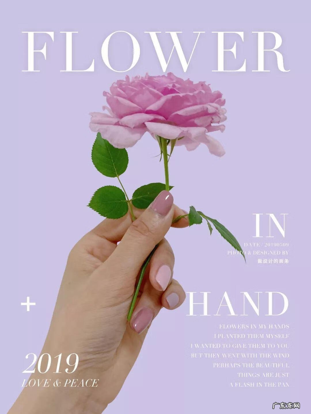 《配色设计原理》读后感 配色设计原理心得体会