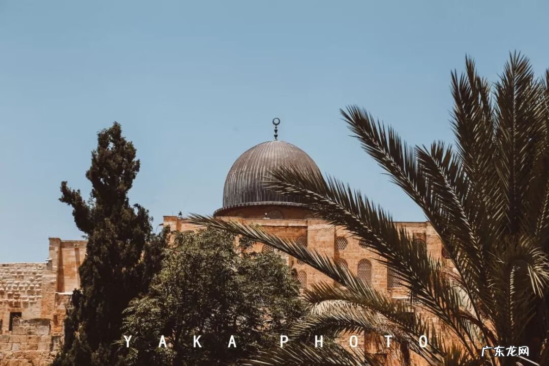 梦想国 梦想国度