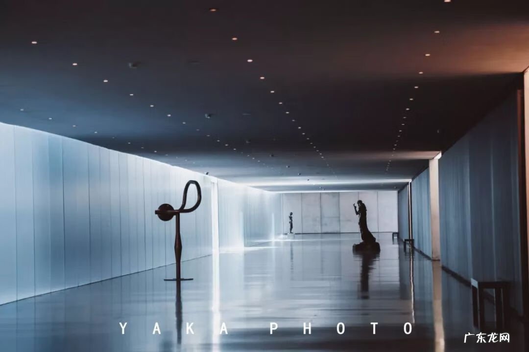 梦想国 梦想国度