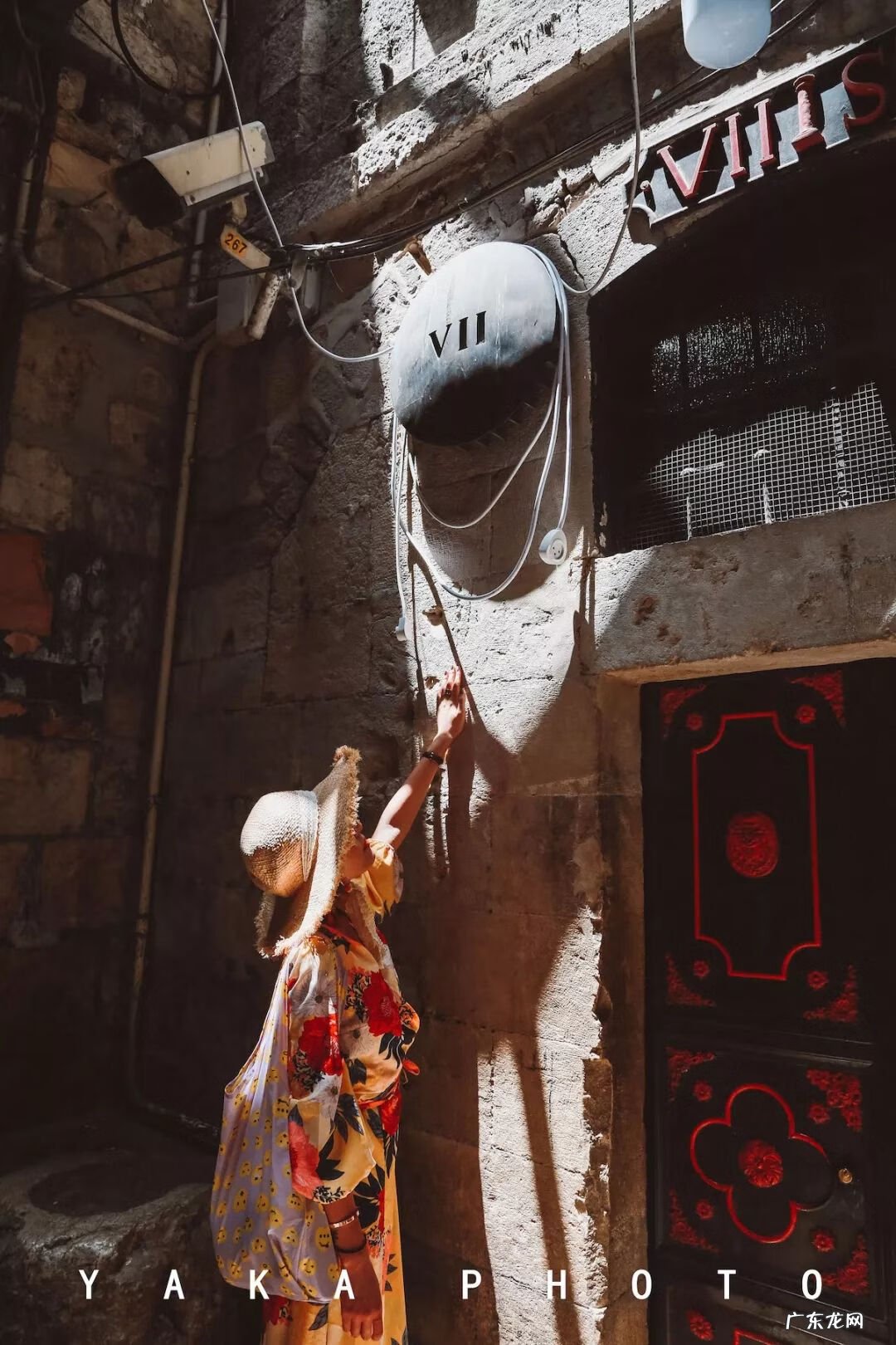 梦想国 梦想国度