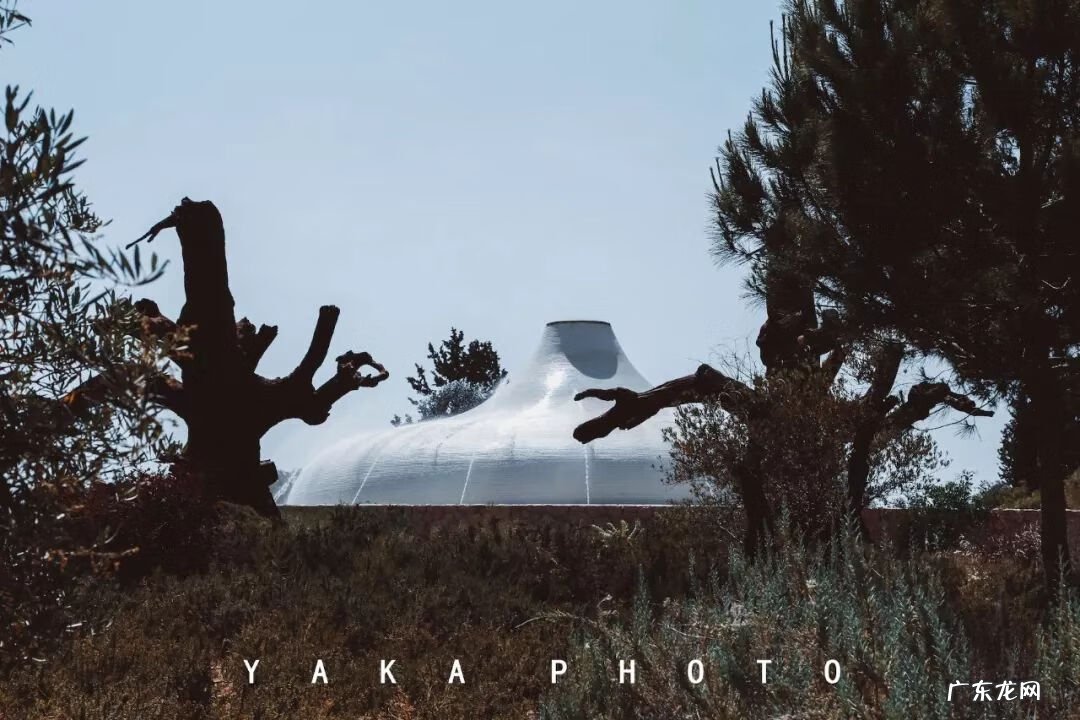 梦想国 梦想国度