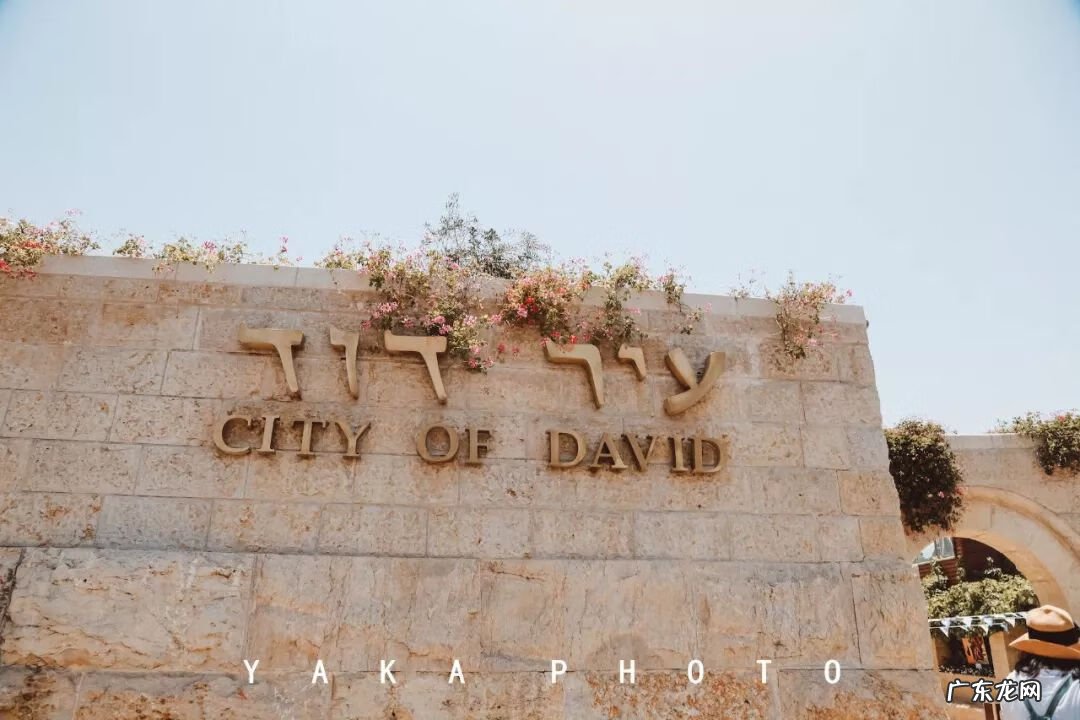 梦想国 梦想国度