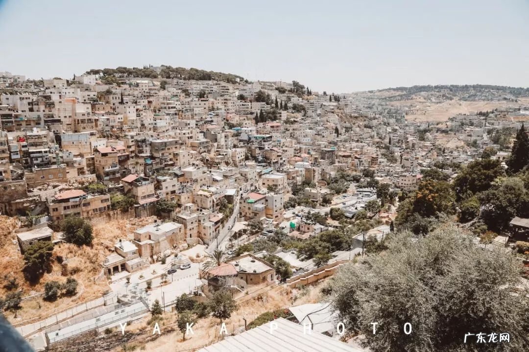 梦想国 梦想国度