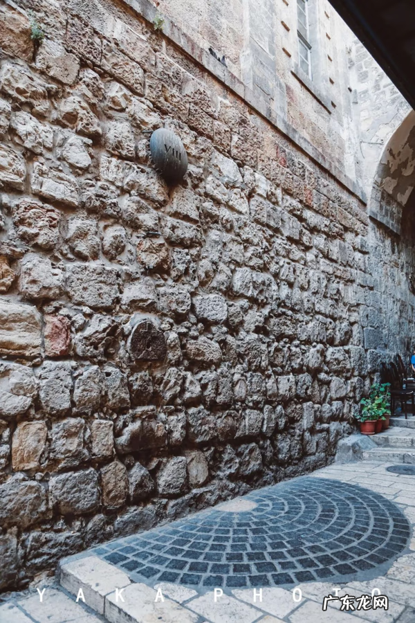 梦想国 梦想国度