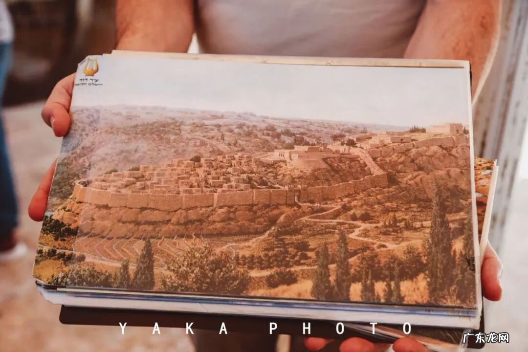 梦想国 梦想国度