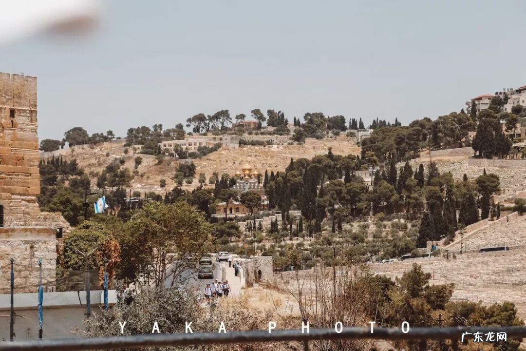 梦想国 梦想国度