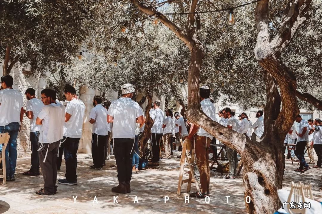 梦想国 梦想国度