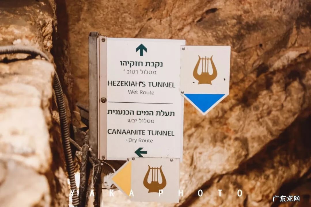 梦想国 梦想国度