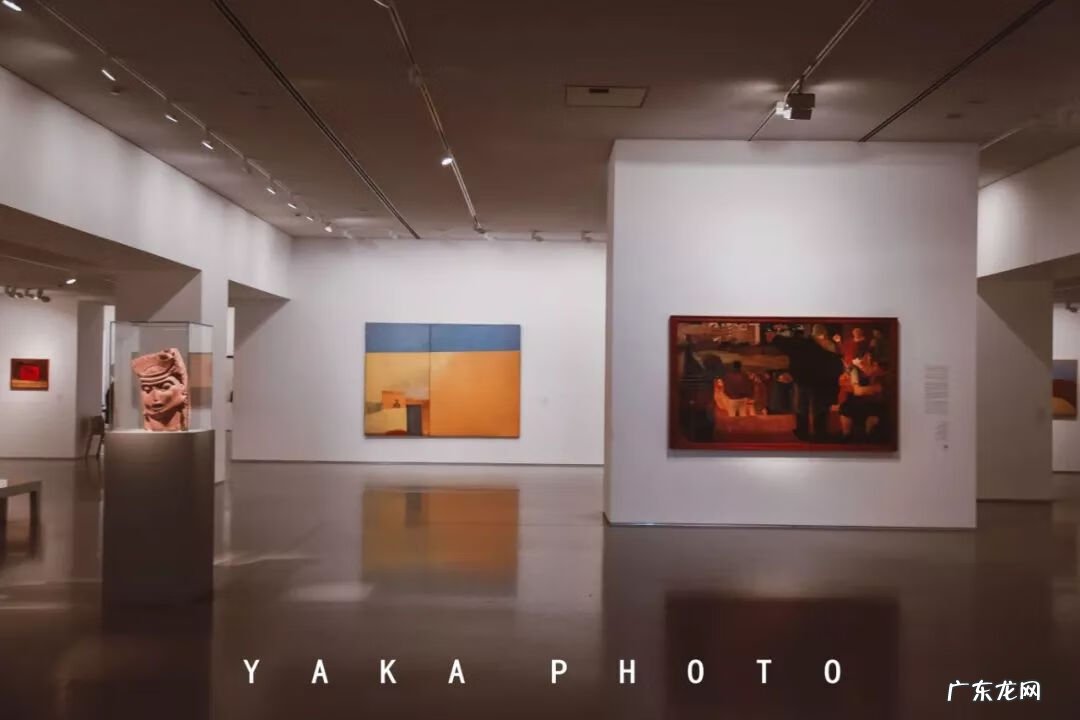 梦想国 梦想国度