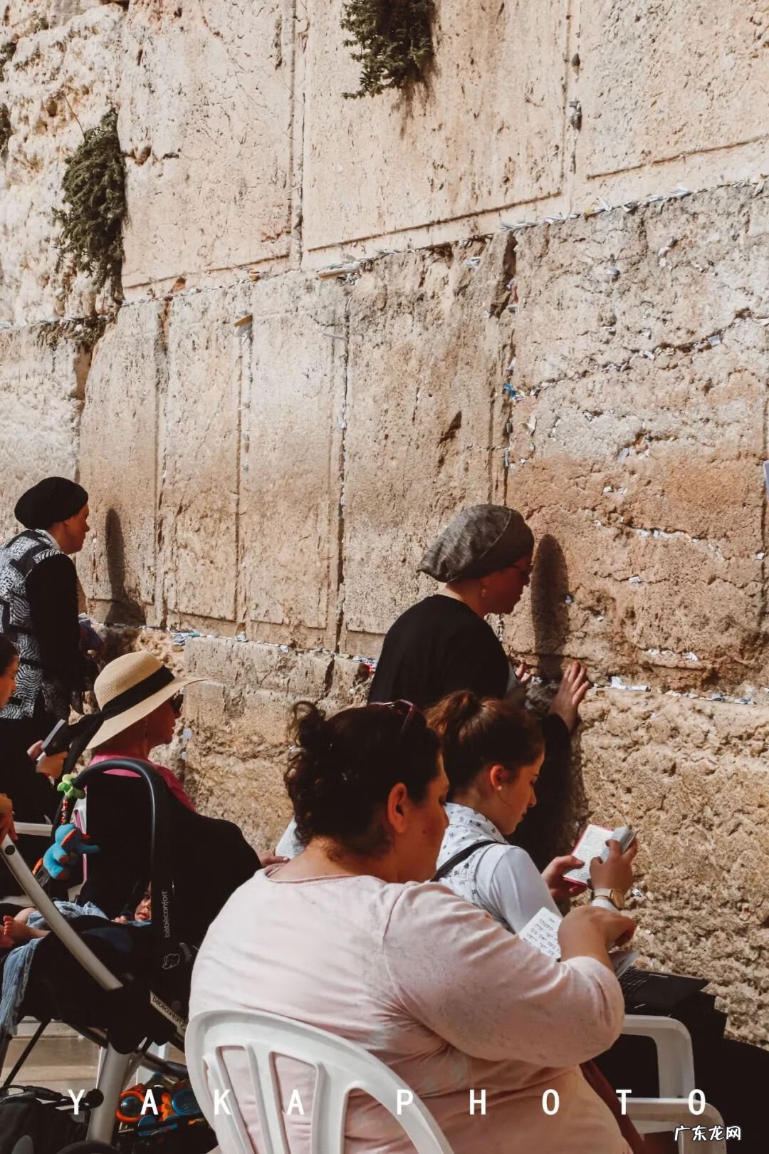 梦想国 梦想国度