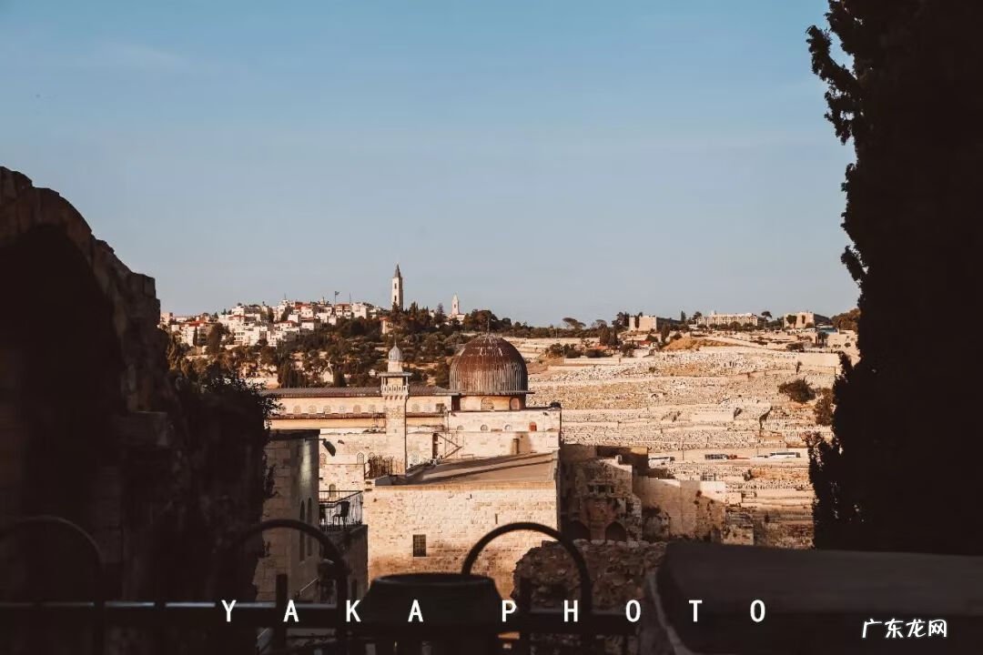 梦想国 梦想国度