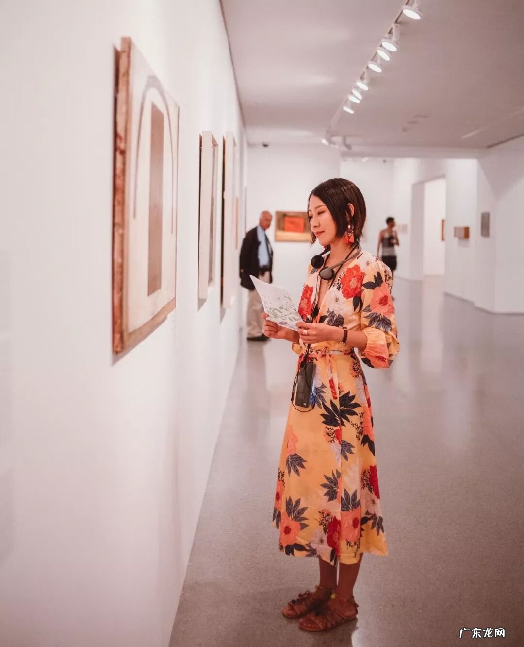 梦想国 梦想国度