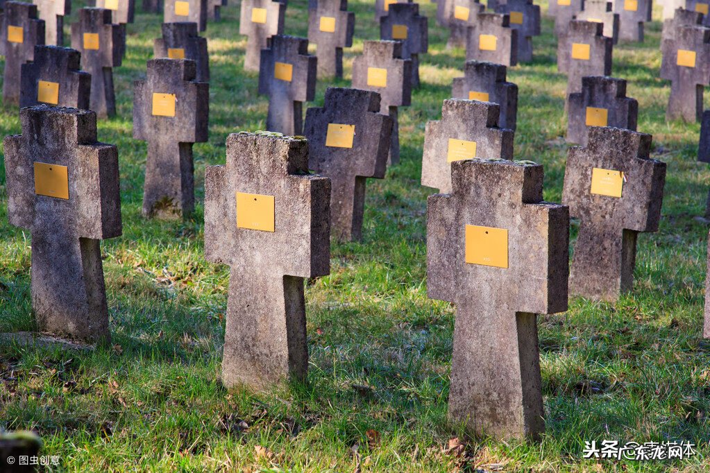 坟头长椿树有什么说法吗 坟上春树好吗