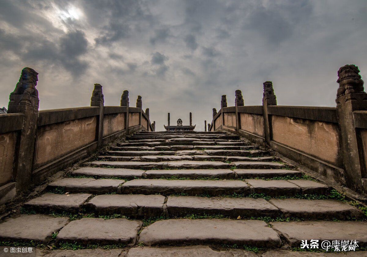 坟头长椿树有什么说法吗 坟上春树好吗