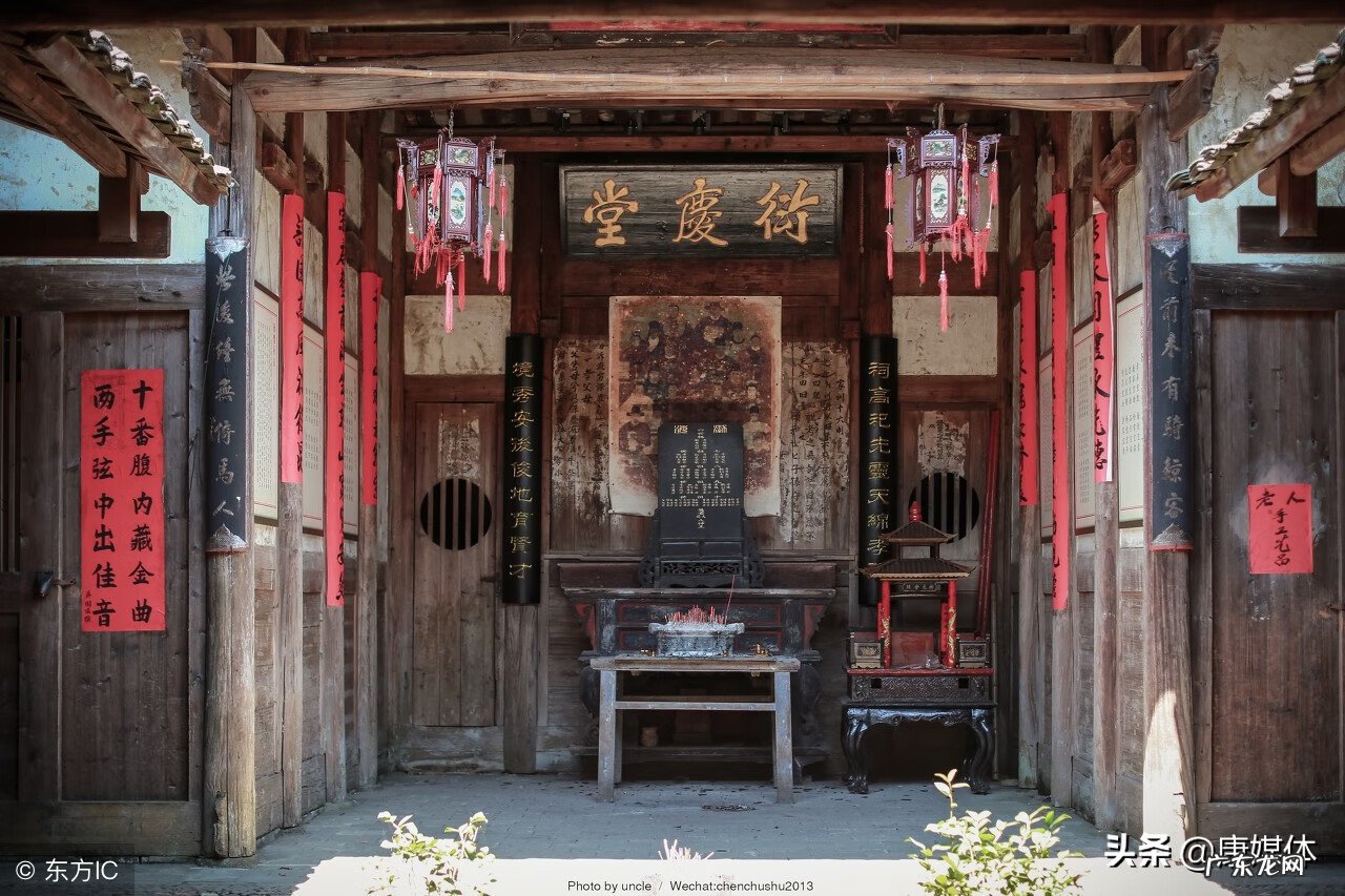 坟头长椿树有什么说法吗 坟上春树好吗