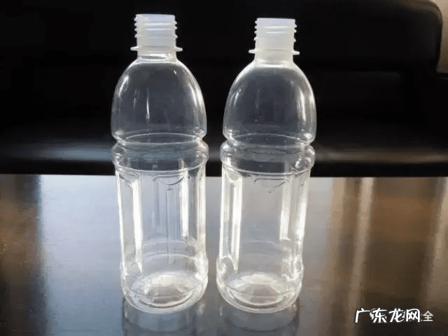 风水上虫行 什么治虫子