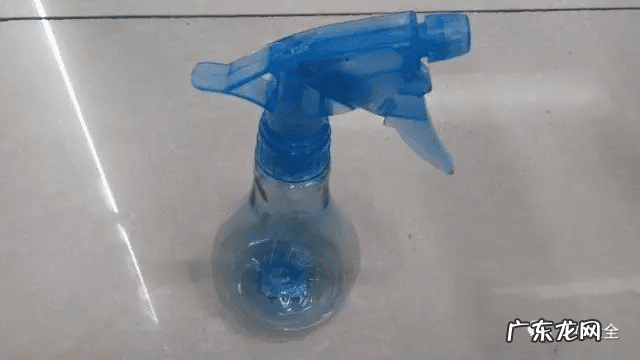 风水上虫行 什么治虫子