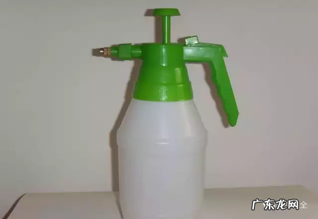 风水上虫行 什么治虫子