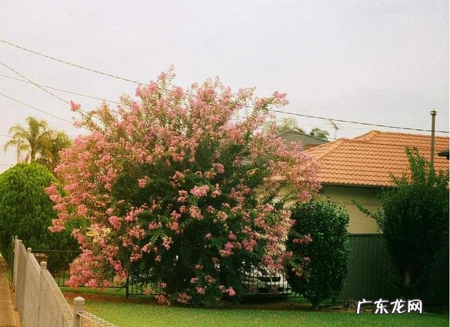 老板请聚餐一定要去吗 有钱人请人看风水大师的故事