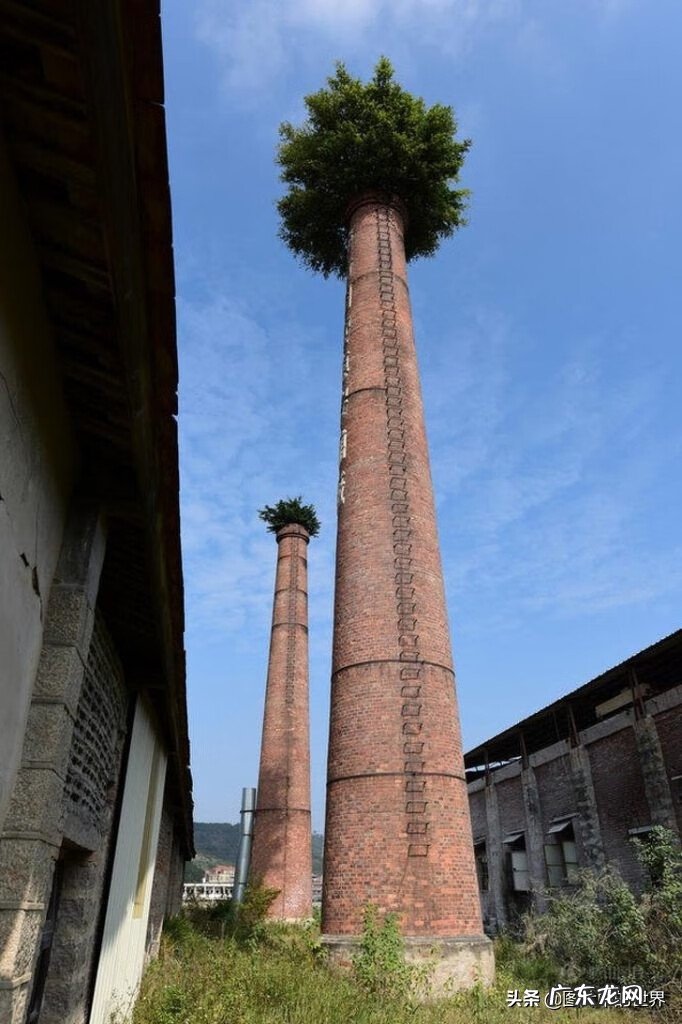 奇迹之地在线观看 奇迹之地