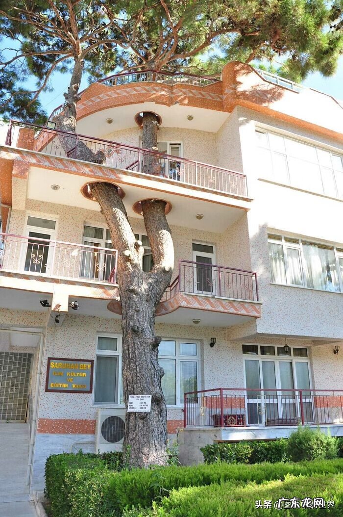 奇迹之地在线观看 奇迹之地