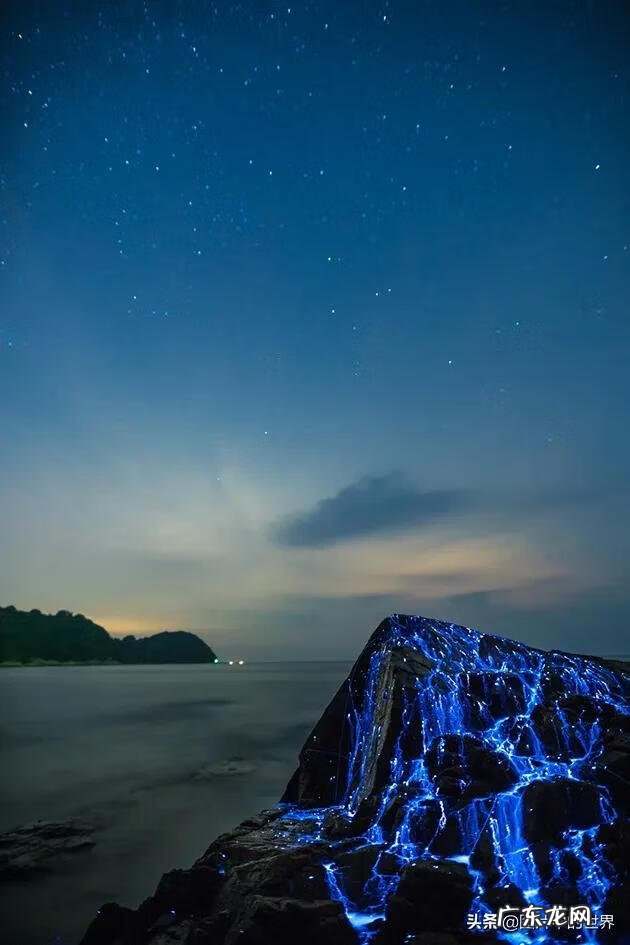 奇迹之地在线观看 奇迹之地