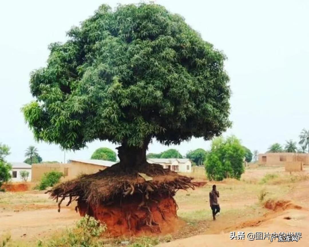 奇迹之地在线观看 奇迹之地