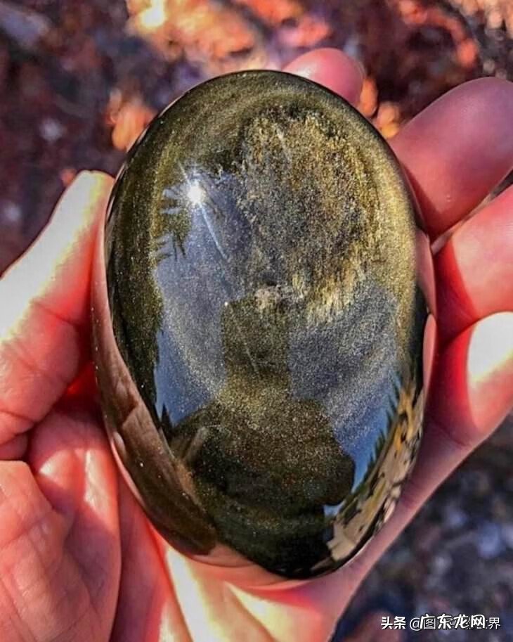 奇迹之地在线观看 奇迹之地